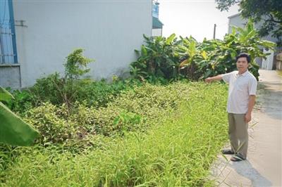 Thái Bình chỉ đạo khắc phục sai phạm trong công tác quản lý đất đai